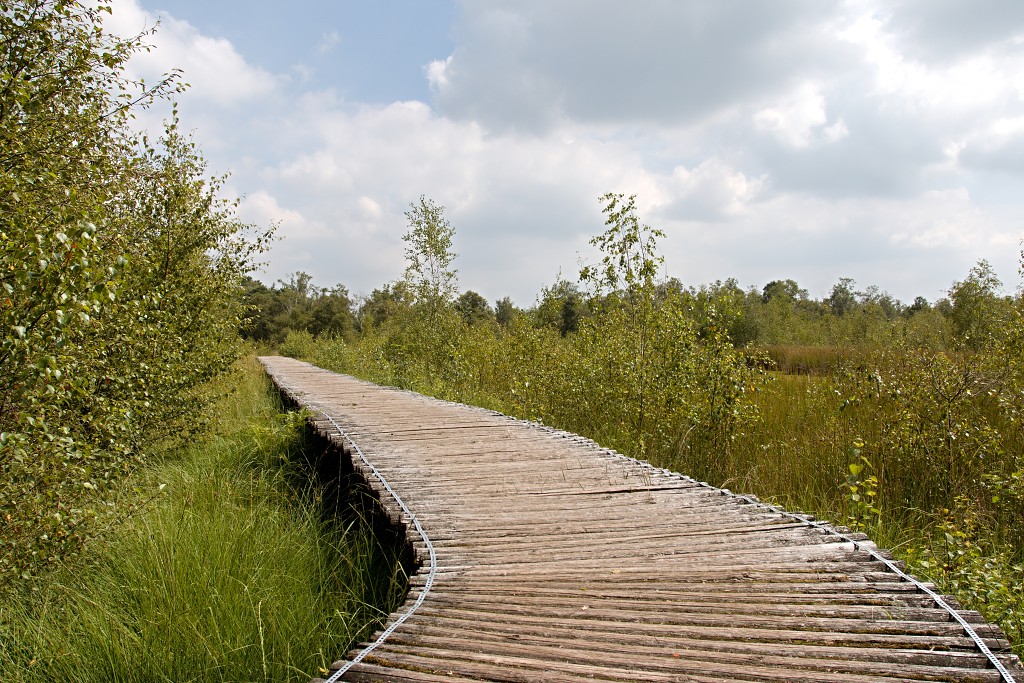 nationaal park de groote peel grote natuurgebied natuur hdr brabant limburg staatsbosbeheer turf veen heide hei bos bossen